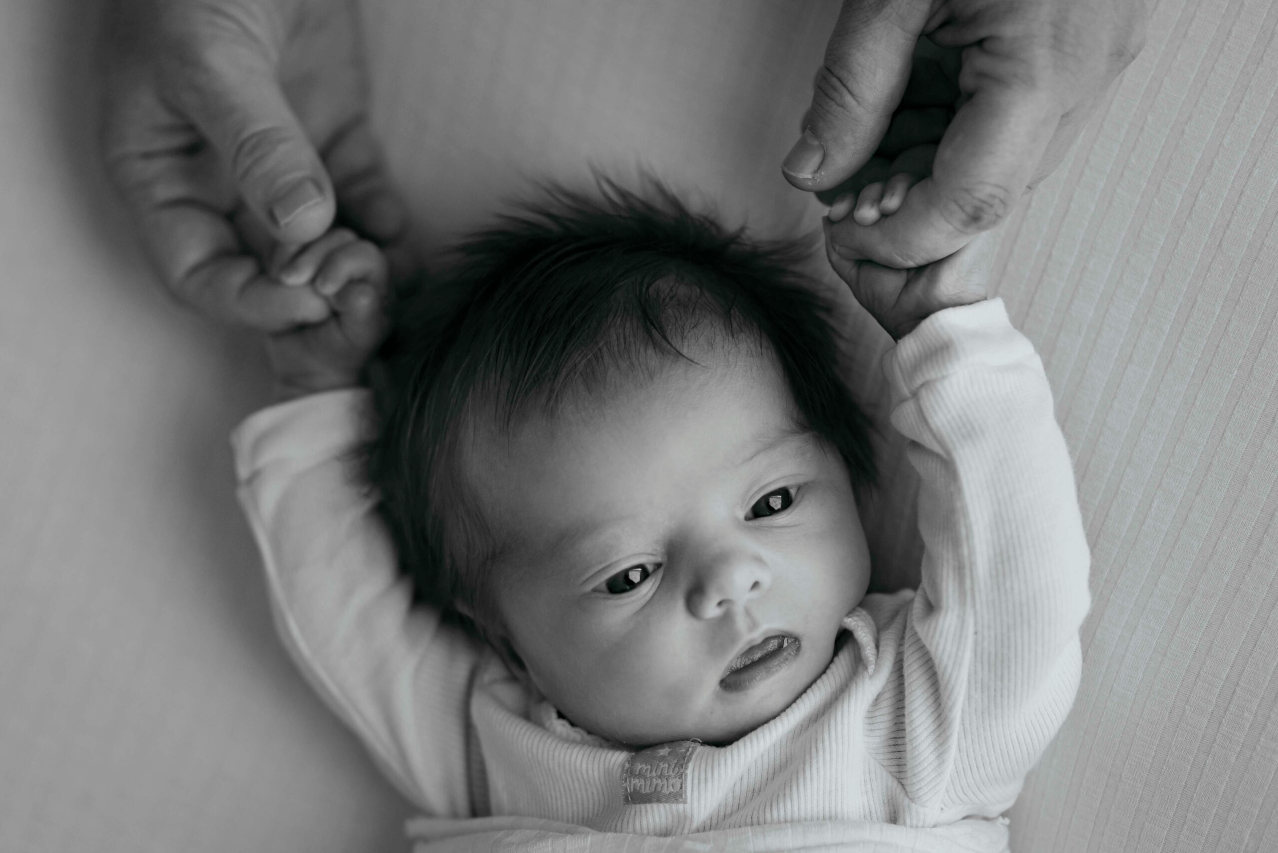 Close-up of a newborn baby holding hands with a parent, showcasing love and bonding.
